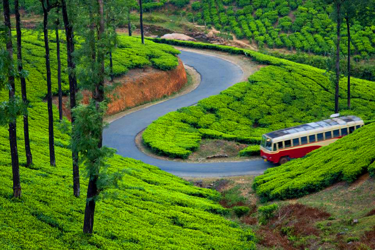 Best of Kerala Munnar, Thekkady & Alleppey