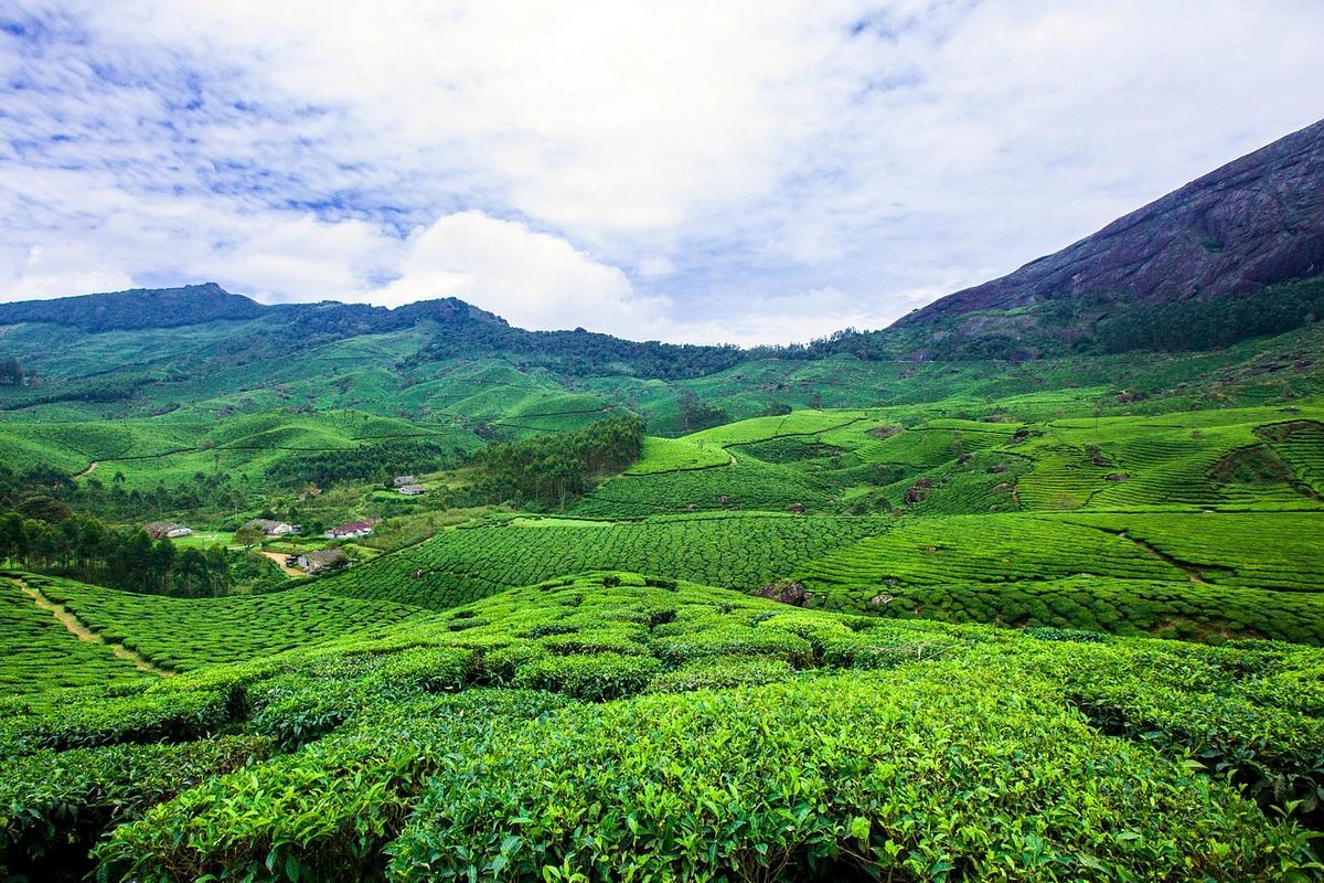Kerala Backwaters & Hills