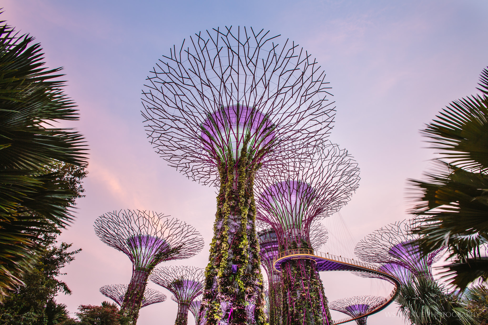 Singapore City Highlights Tour