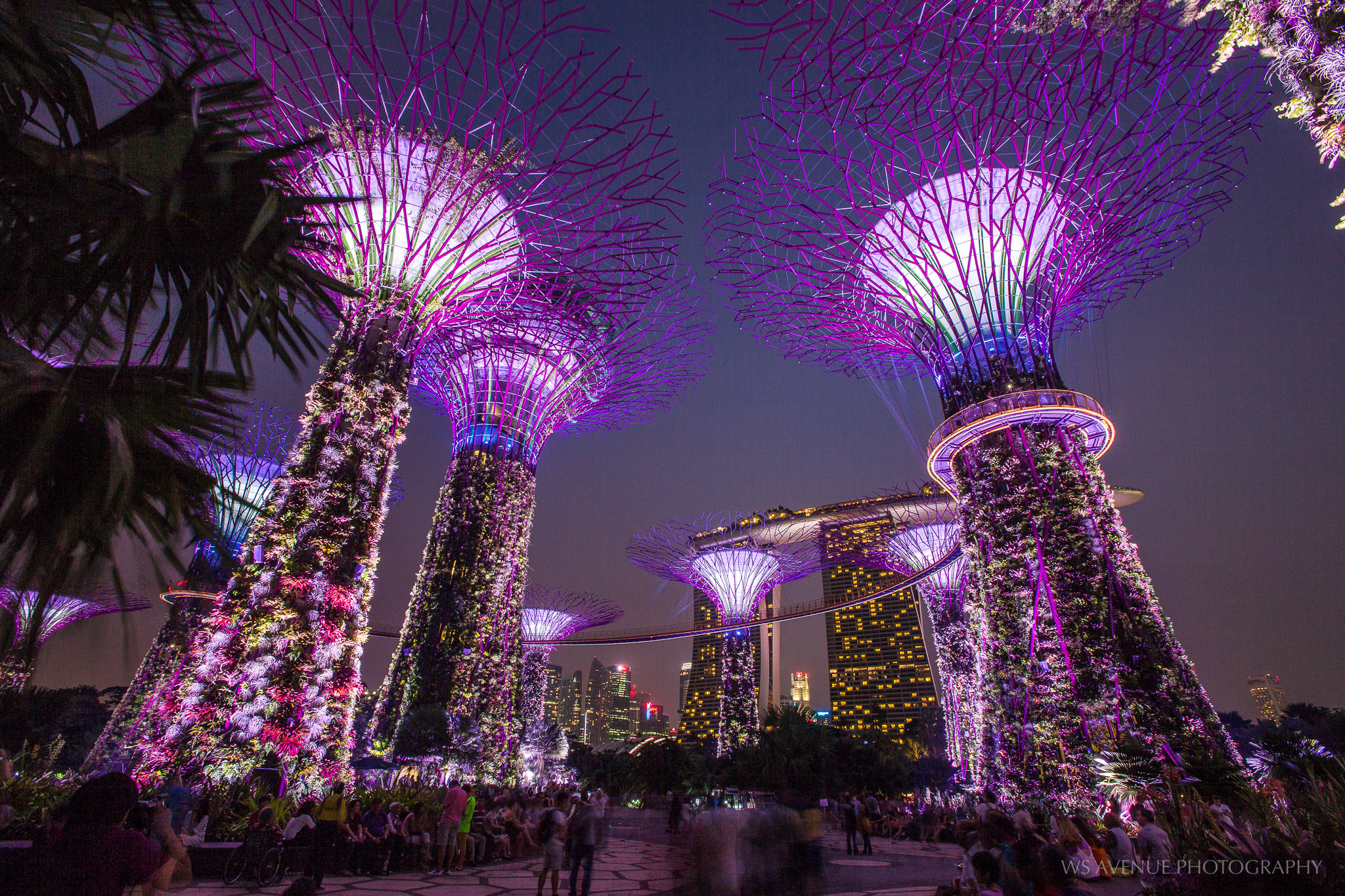 Singapore City Highlights Tour