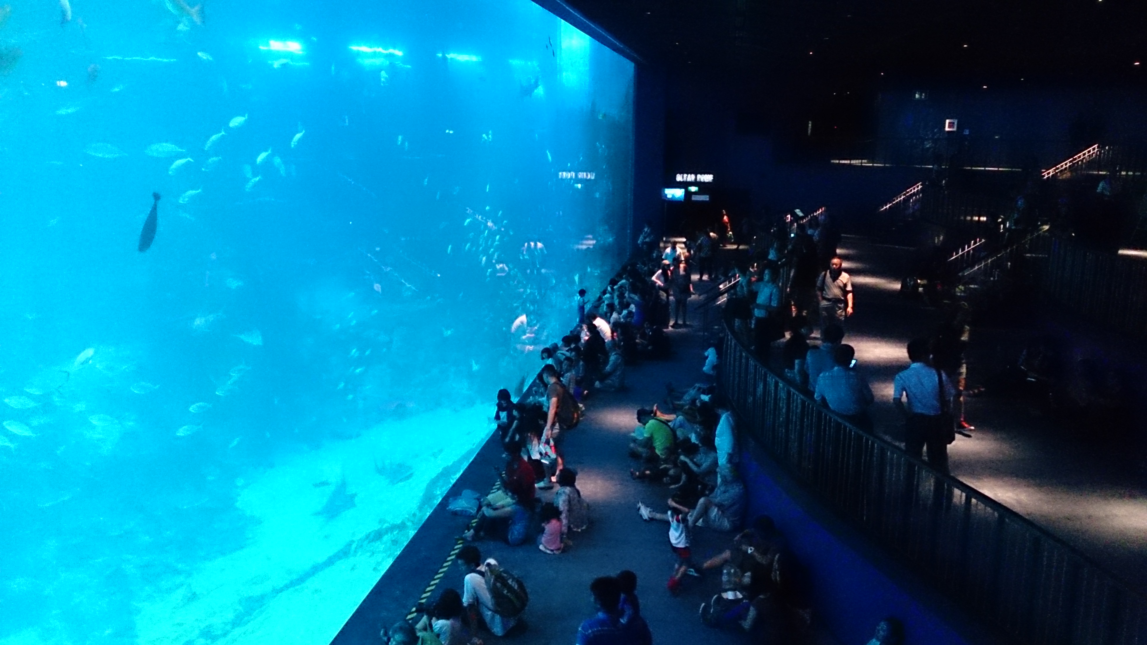 Singapore Sentosa Fun Package