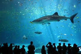 Singapore Sentosa Fun Package