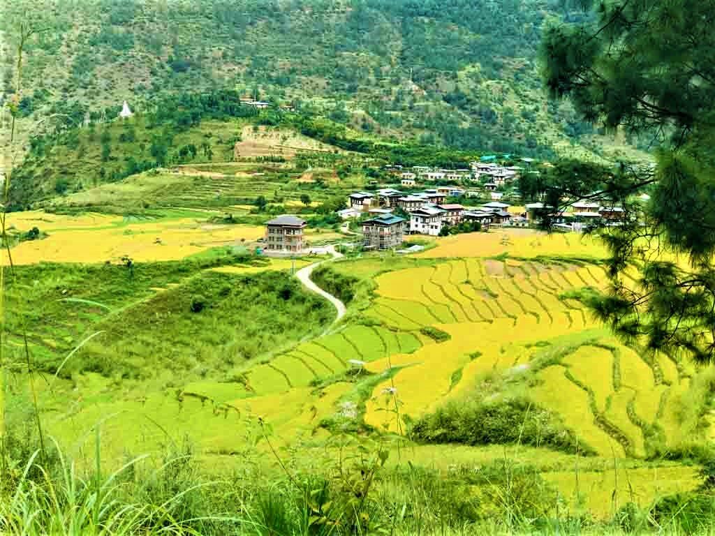 Bhutan Nature & Culture Tour