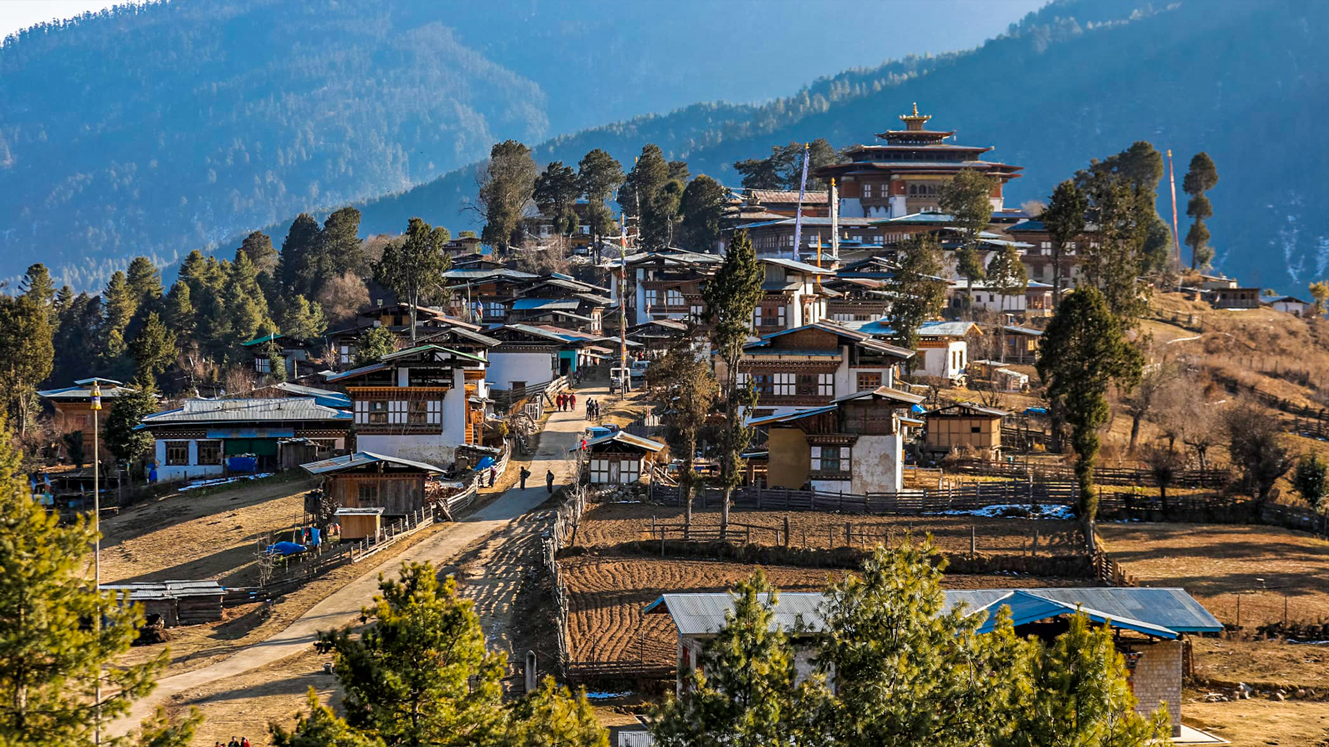 Bhutan Nature & Culture Tour