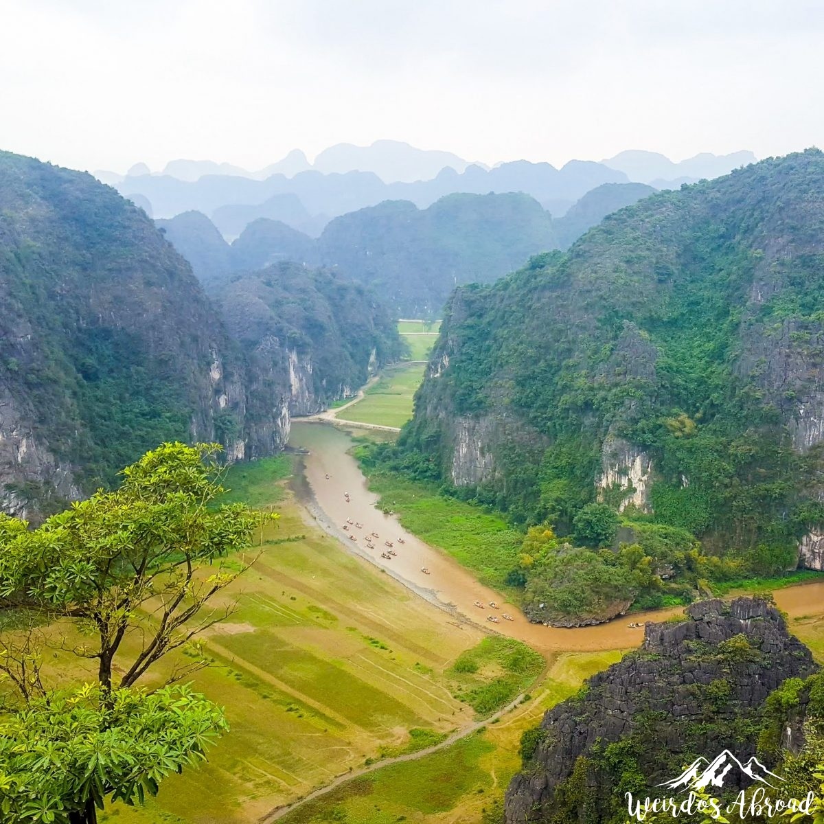 Vietnam Nature & Culture Tour (Hanoi + Ninh Binh + Halong)