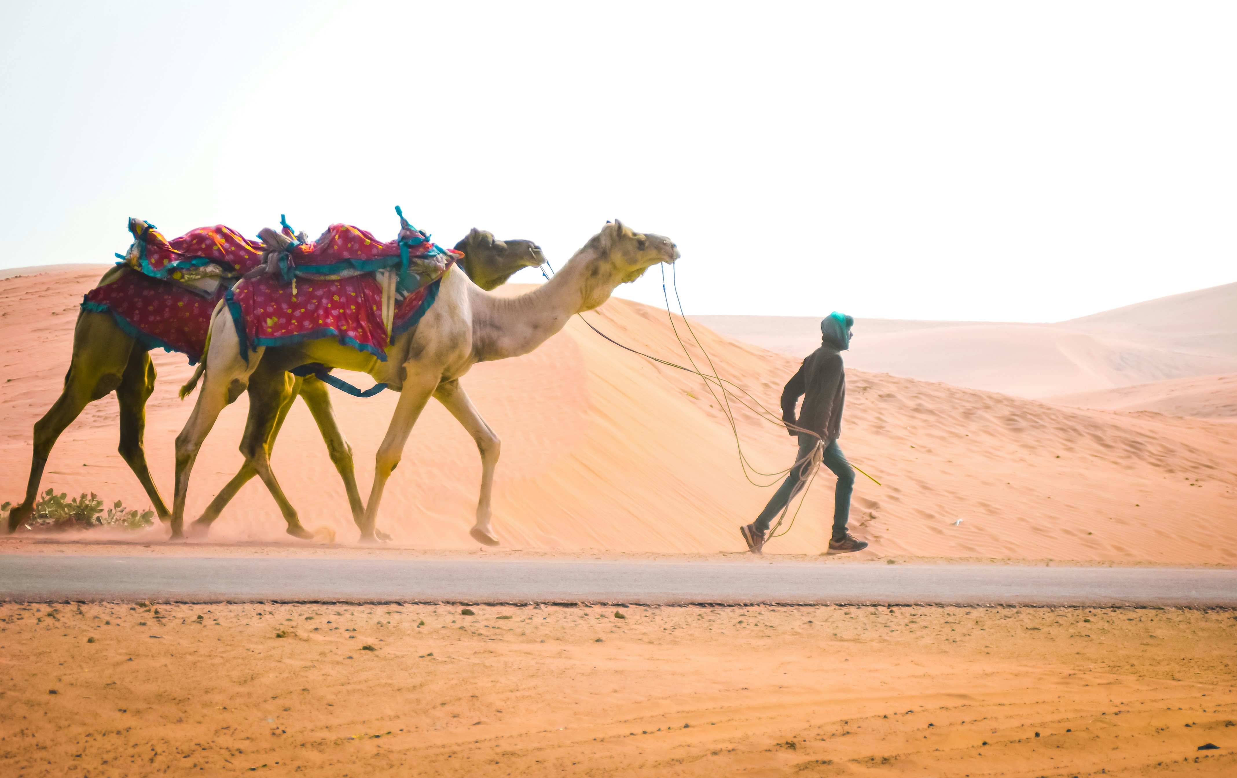 How to Choose the Right Rajasthan DMC for Your Private Luxury Tour