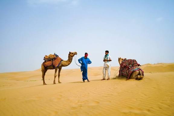 25 Essential Rajasthan Travel Tips for a Smooth and Memorable Trip